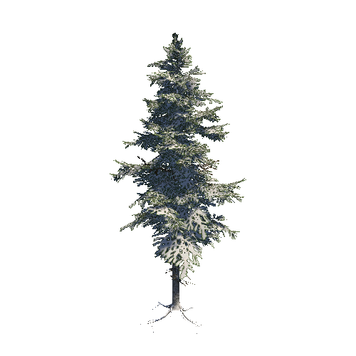 Fir_03_Medium Snow